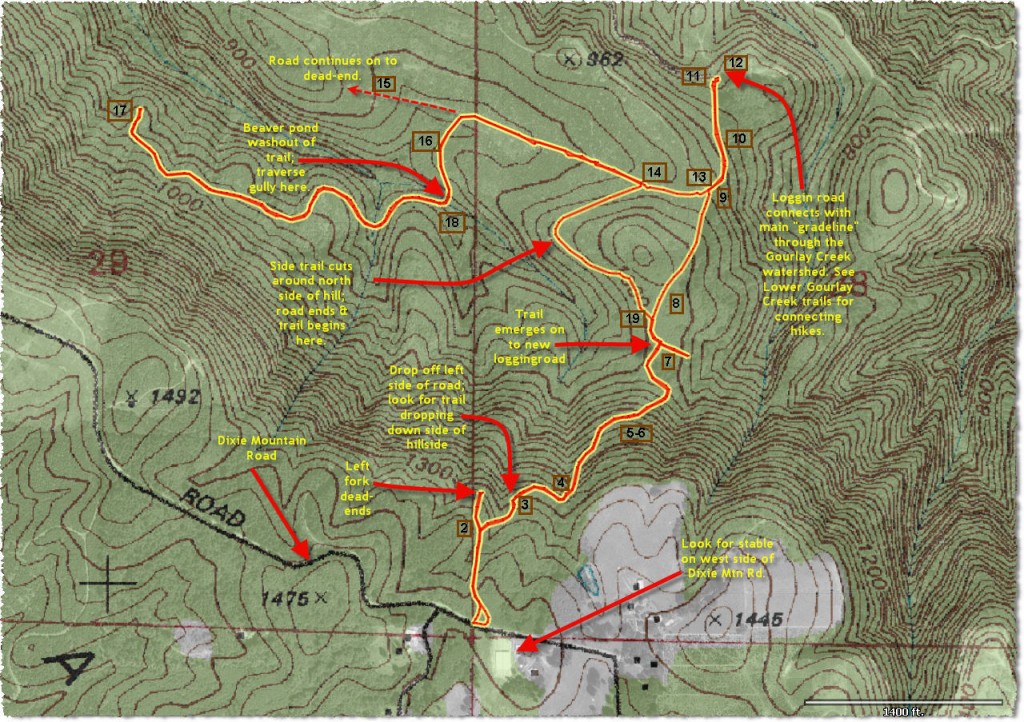 Bridle Trail – Upper Gourlay Creek area | Forest Hiker