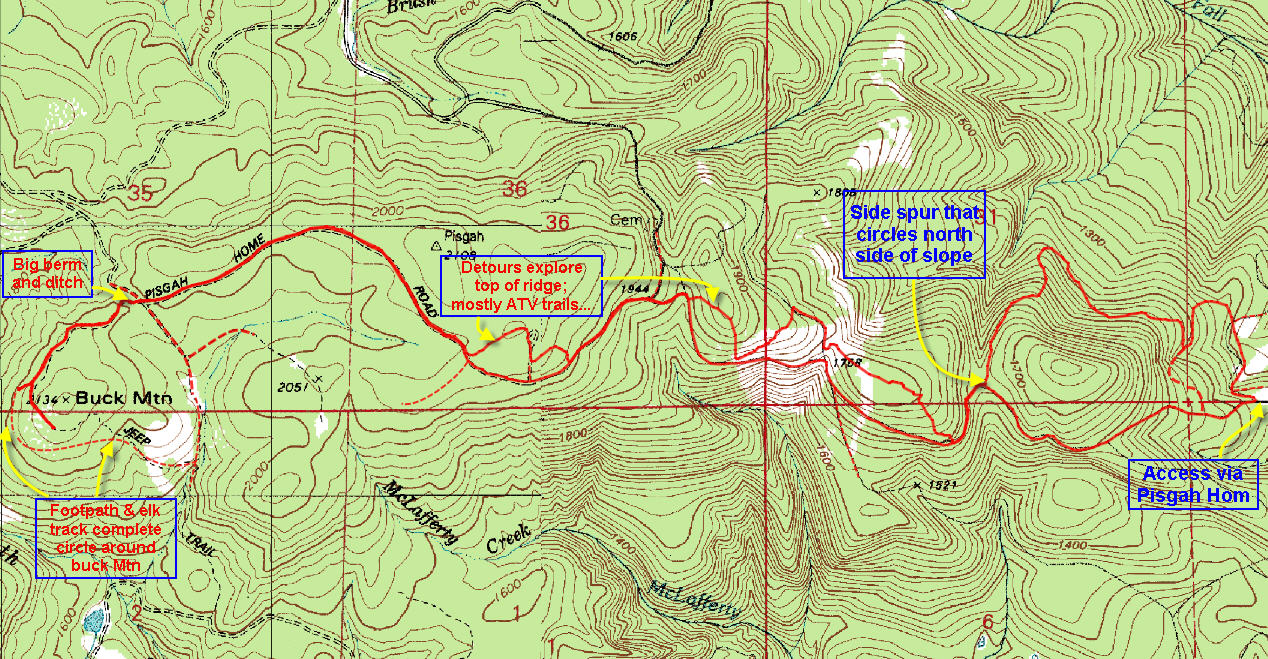 Buck Mountain Loop | Forest Hiker